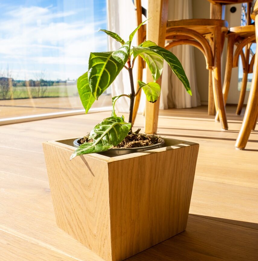 Plant Box Initiative